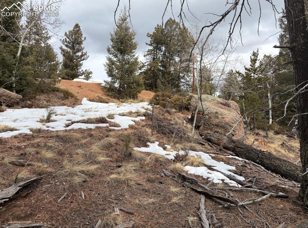 84 Point View Circle Florissant CO 80816