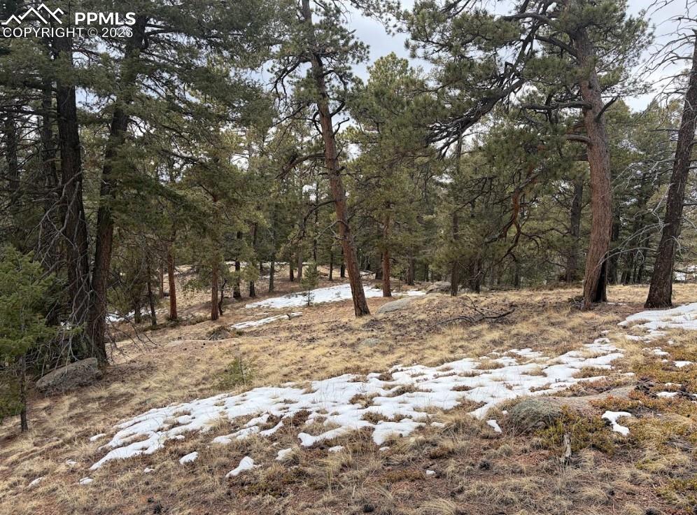 84 Point View Circle Florissant CO 80816