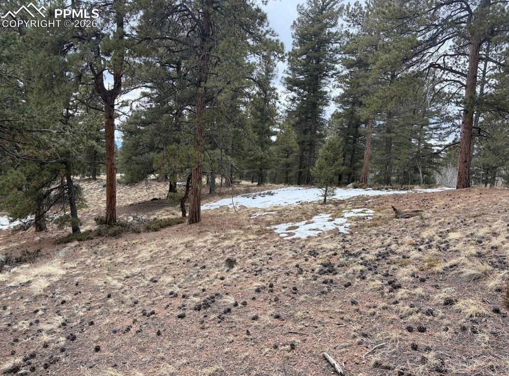 84 Point View Circle Florissant CO 80816