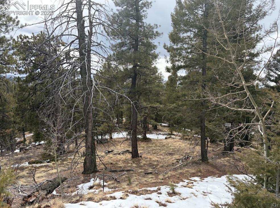 84 Point View Circle Florissant CO 80816
