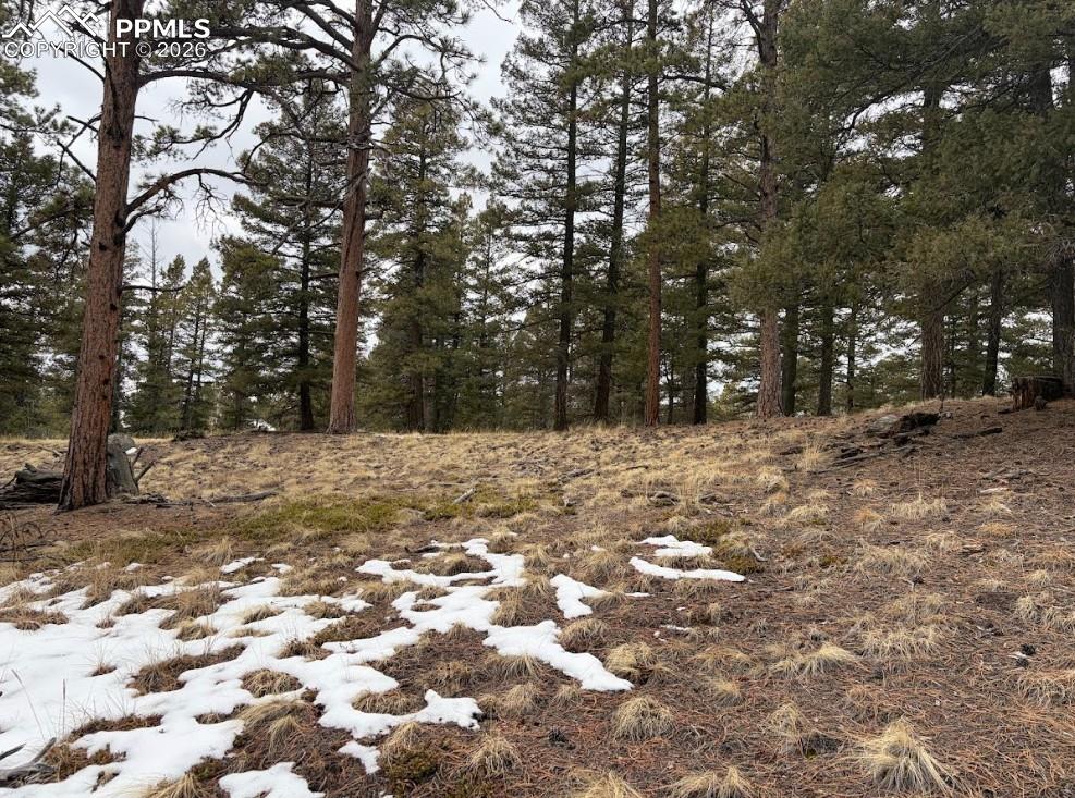 84 Point View Circle Florissant CO 80816