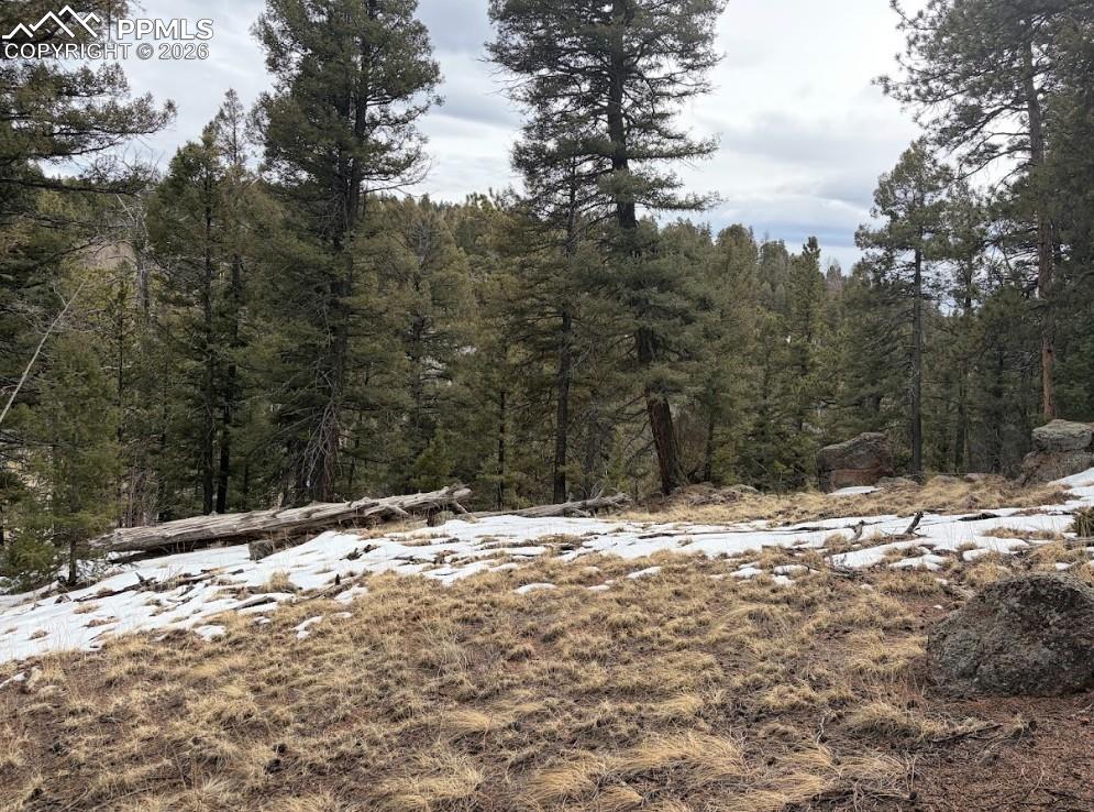 84 Point View Circle Florissant CO 80816