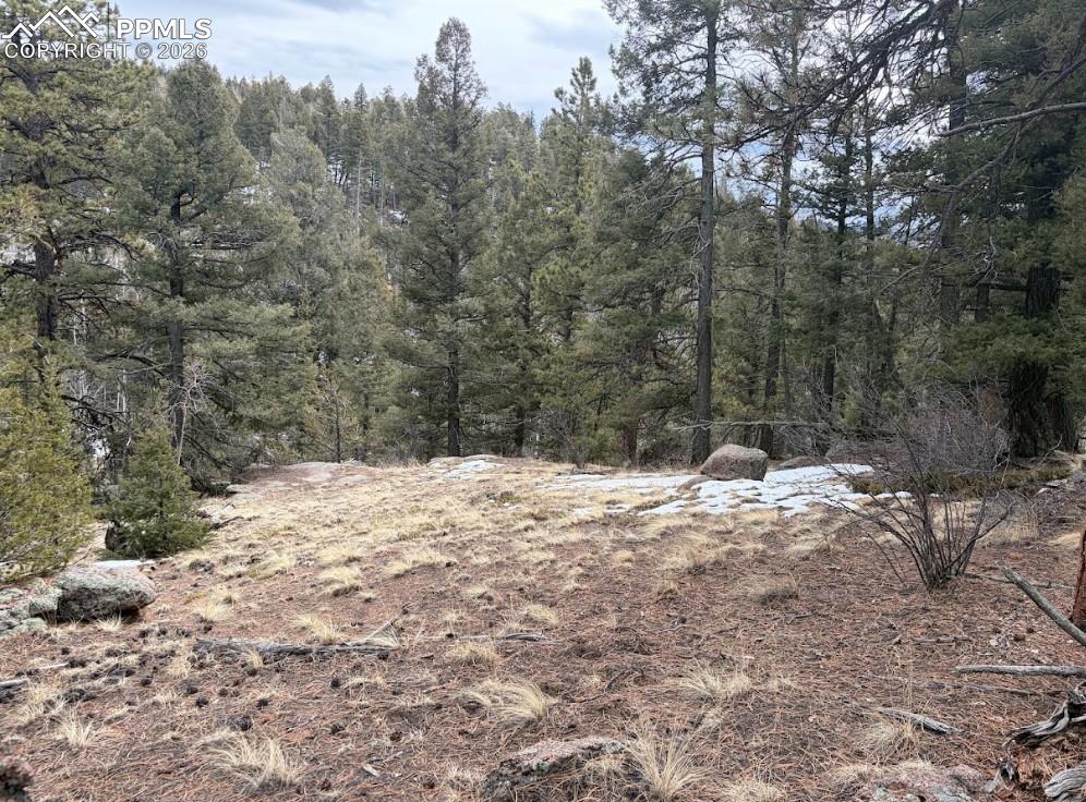 84 Point View Circle Florissant CO 80816