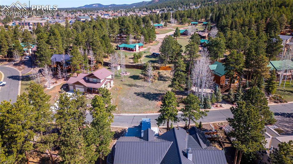 620 Skyline Drive Woodland Park CO 80863
