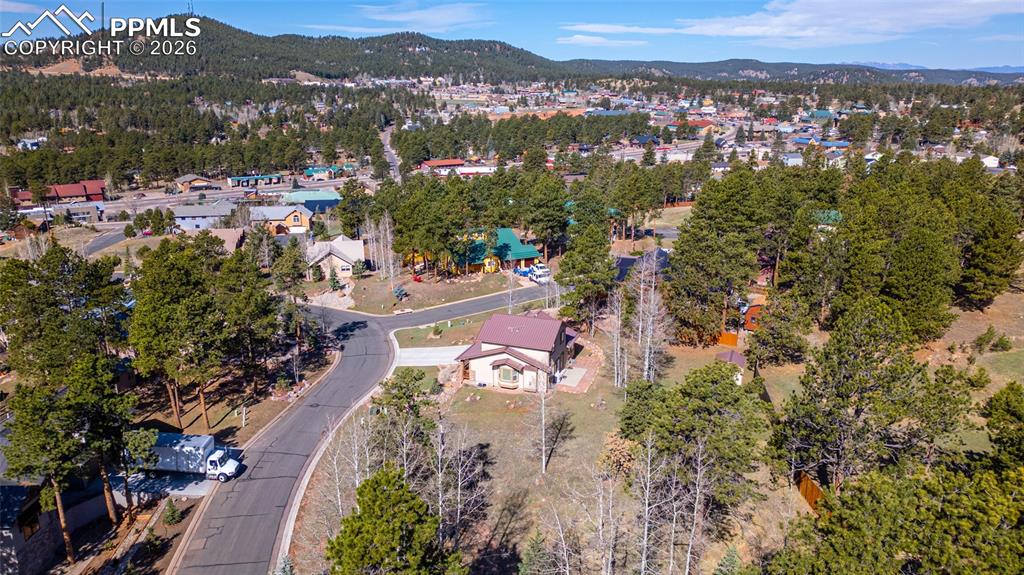620 Skyline Drive Woodland Park CO 80863