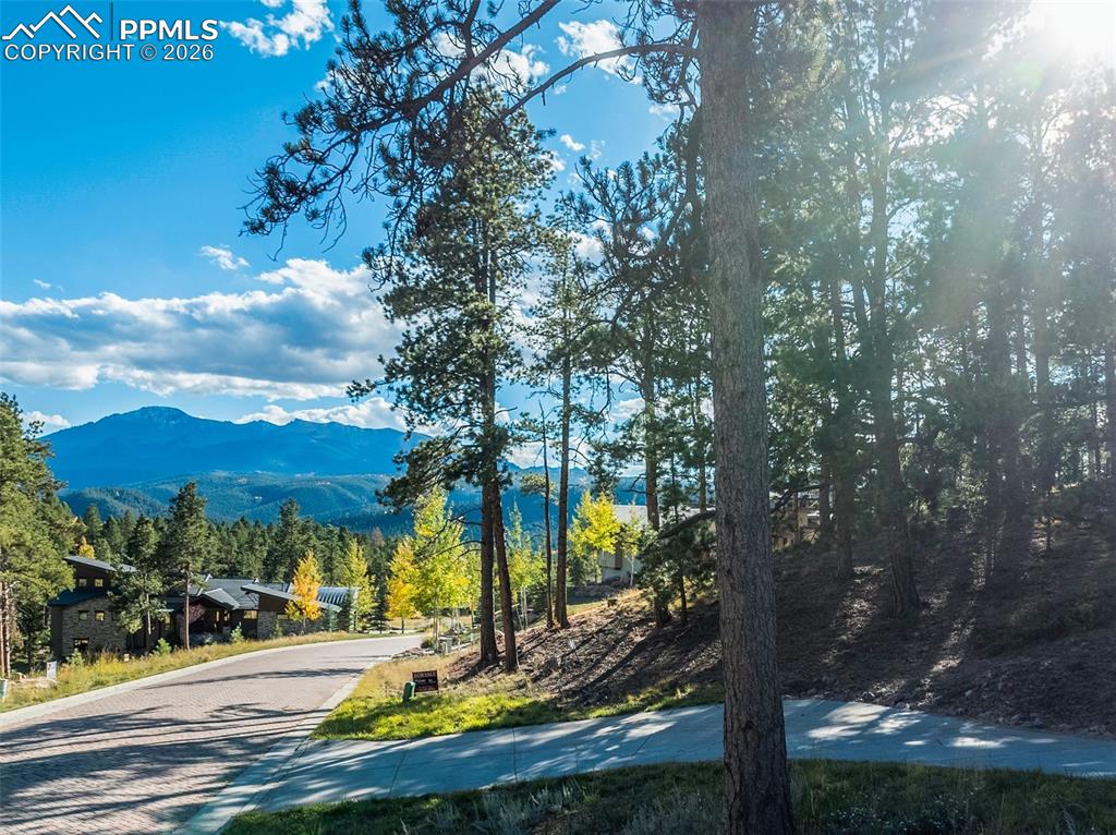 270 Thunder Ridge Drive Woodland Park CO 80863