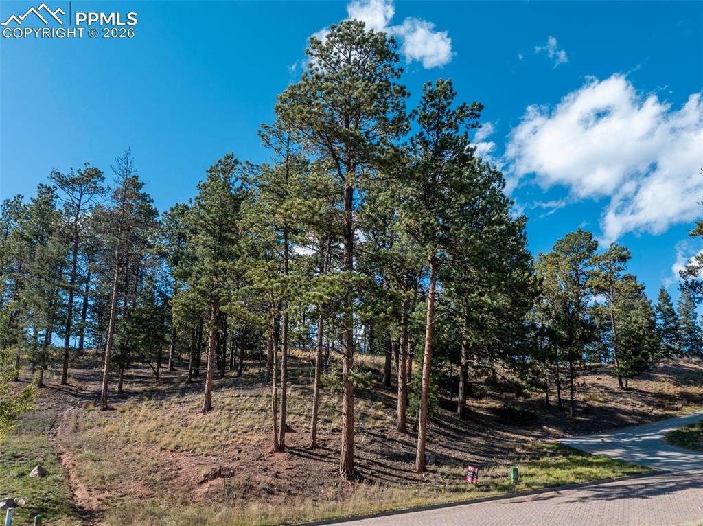 270 Thunder Ridge Drive Woodland Park CO 80863