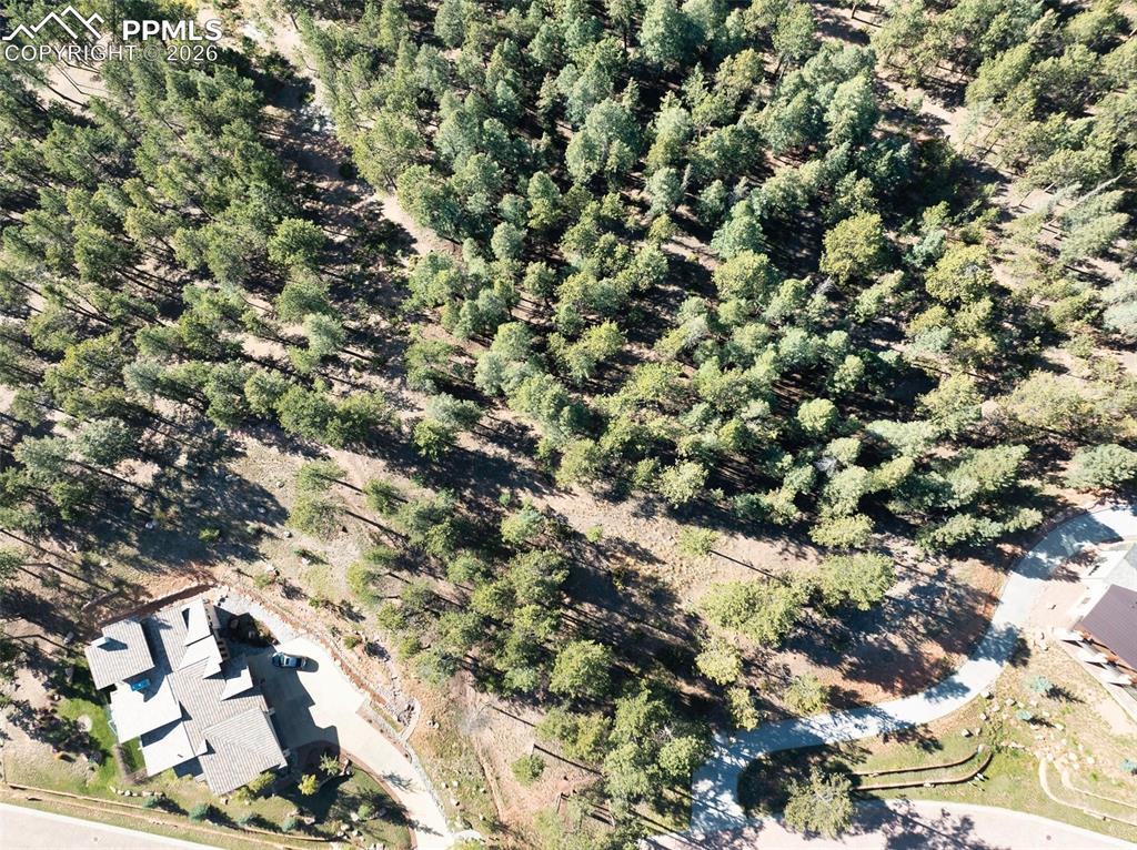270 Thunder Ridge Drive Woodland Park CO 80863