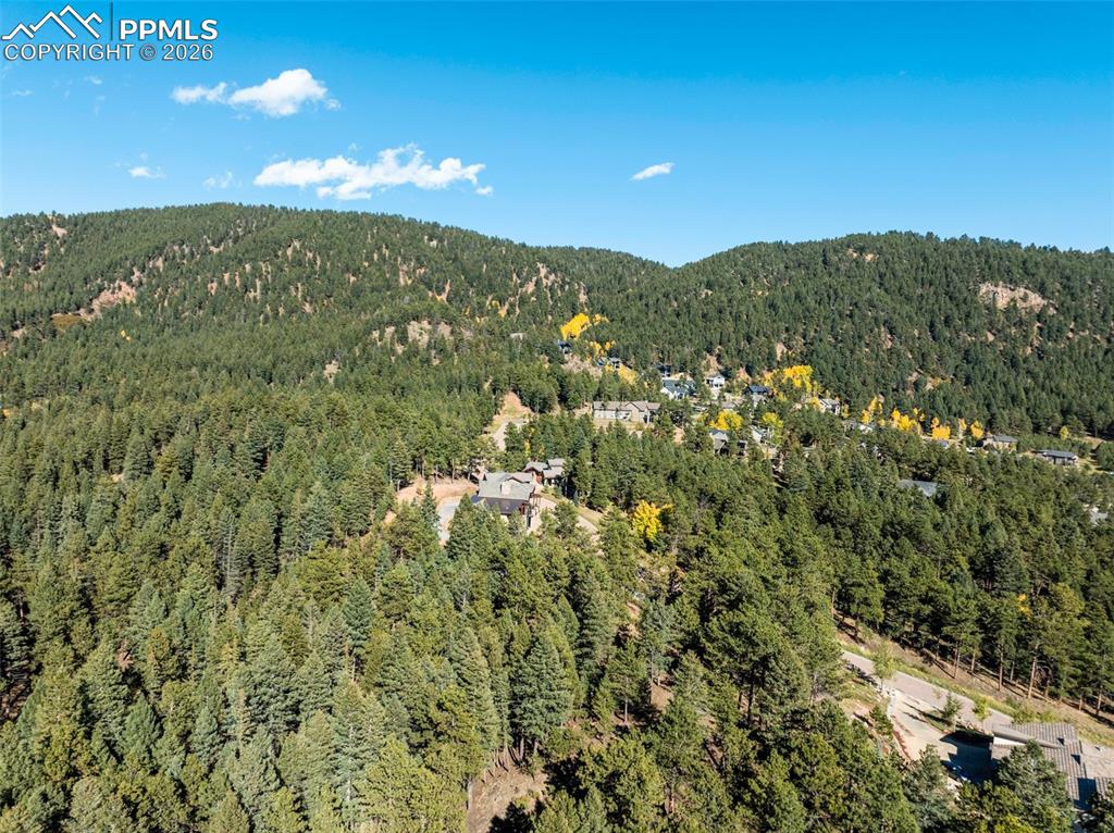 270 Thunder Ridge Drive Woodland Park CO 80863