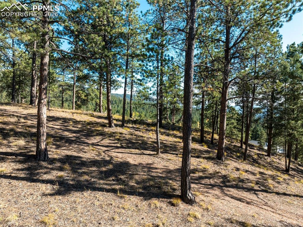 270 Thunder Ridge Drive Woodland Park CO 80863