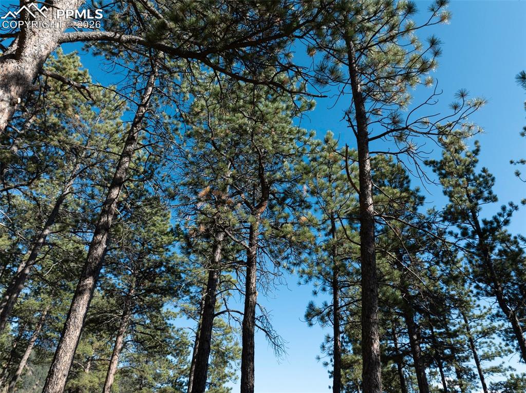 270 Thunder Ridge Drive Woodland Park CO 80863