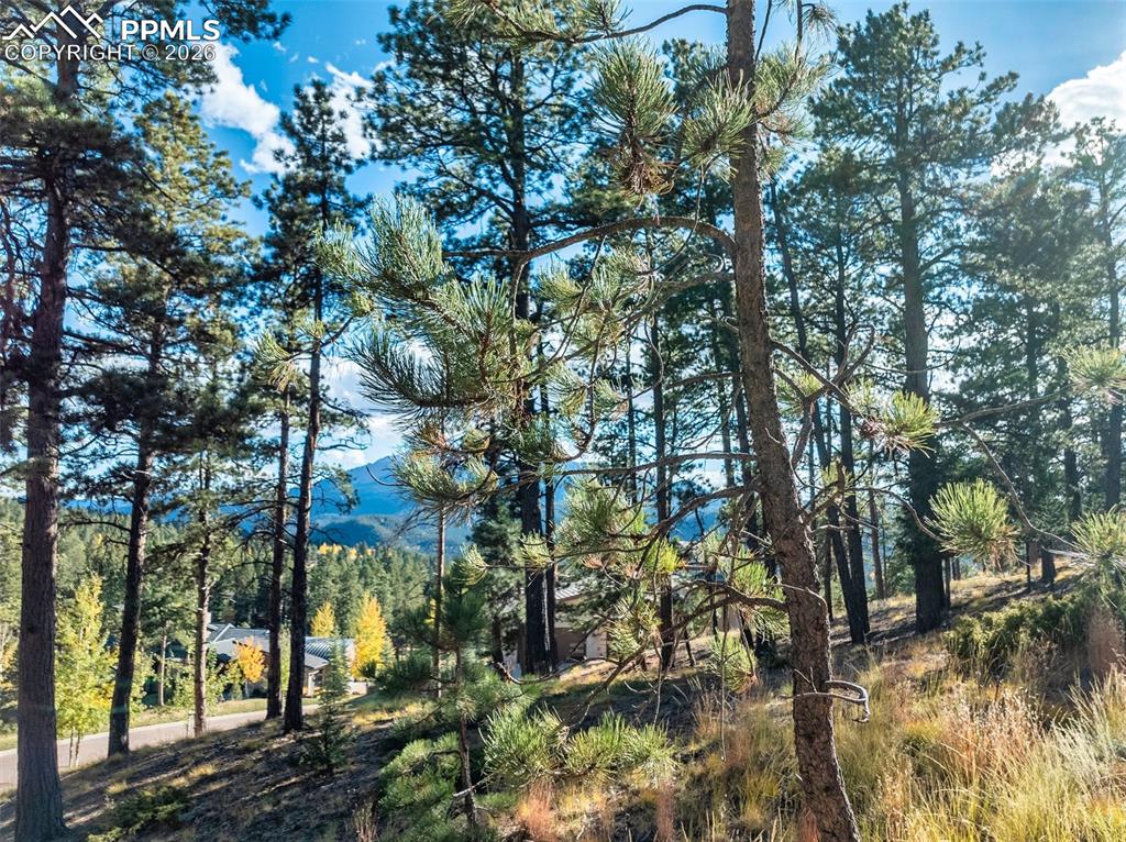 270 Thunder Ridge Drive Woodland Park CO 80863