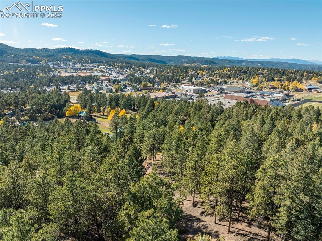 270 Thunder Ridge Drive Woodland Park CO 80863