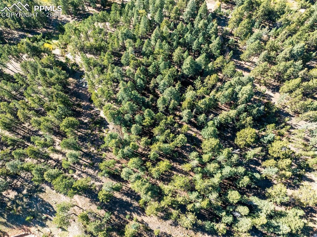 270 Thunder Ridge Drive Woodland Park CO 80863