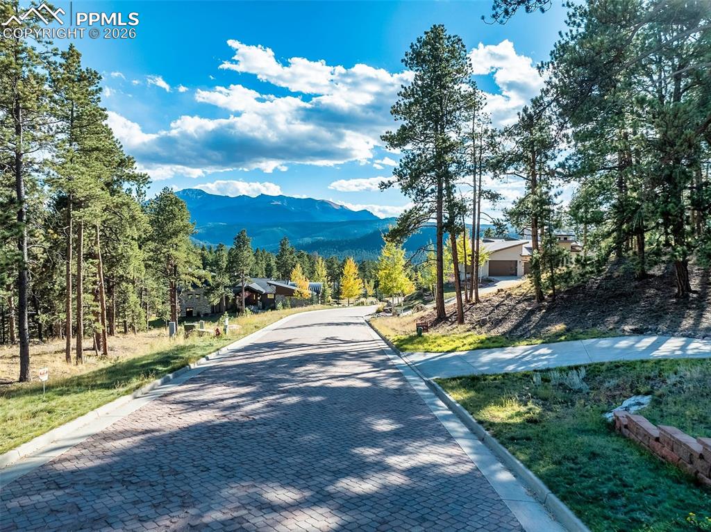 270 Thunder Ridge Drive Woodland Park CO 80863