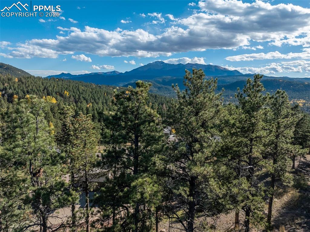 270 Thunder Ridge Drive Woodland Park CO 80863