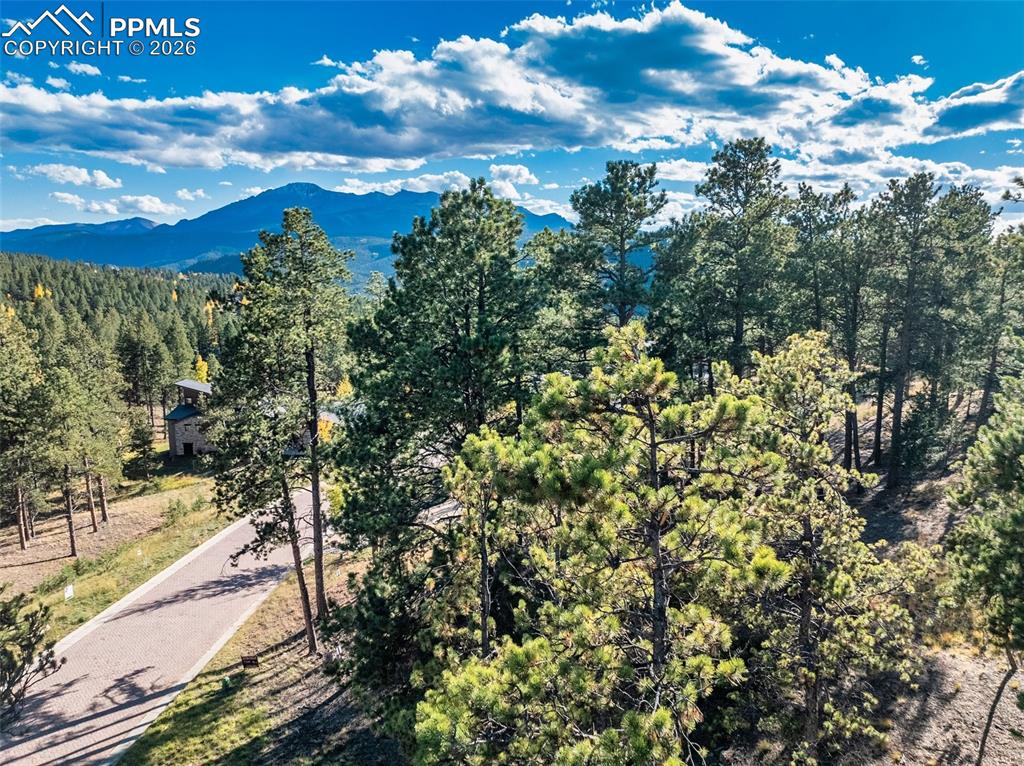 270 Thunder Ridge Drive Woodland Park CO 80863