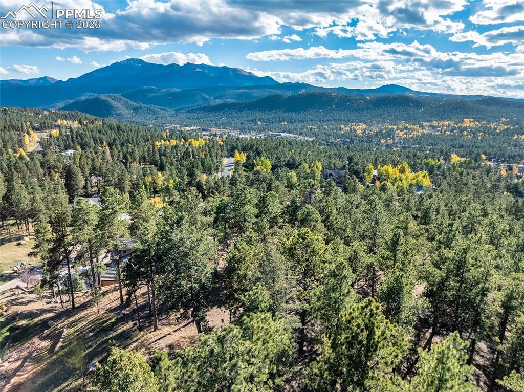 270 Thunder Ridge Drive Woodland Park CO 80863
