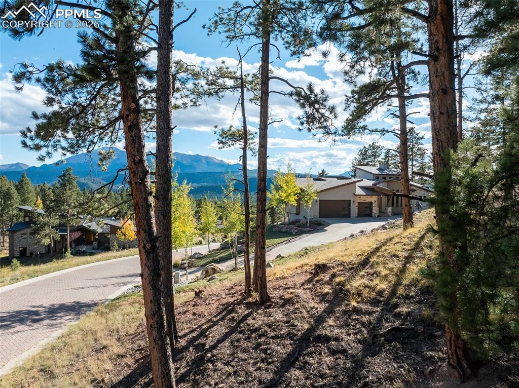 270 Thunder Ridge Drive Woodland Park CO 80863