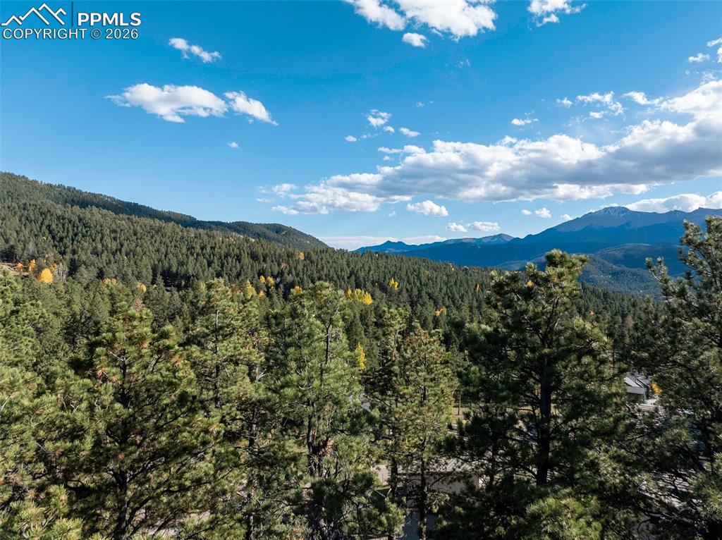 270 Thunder Ridge Drive Woodland Park CO 80863