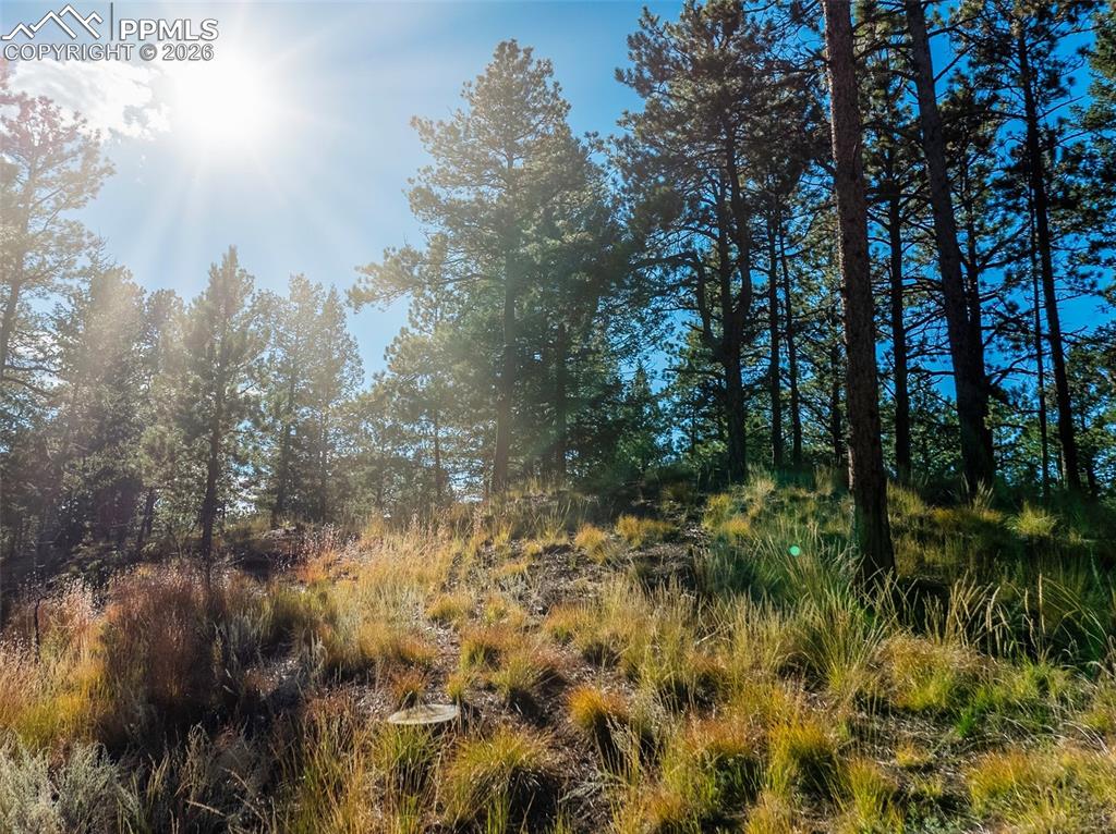 270 Thunder Ridge Drive Woodland Park CO 80863