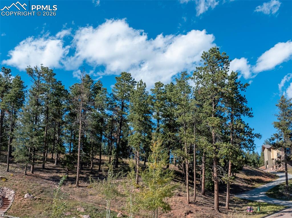 270 Thunder Ridge Drive Woodland Park CO 80863