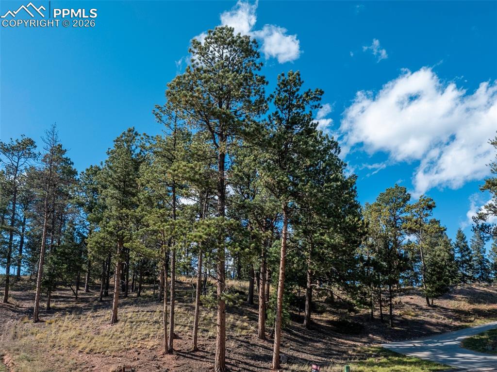 270 Thunder Ridge Drive Woodland Park CO 80863