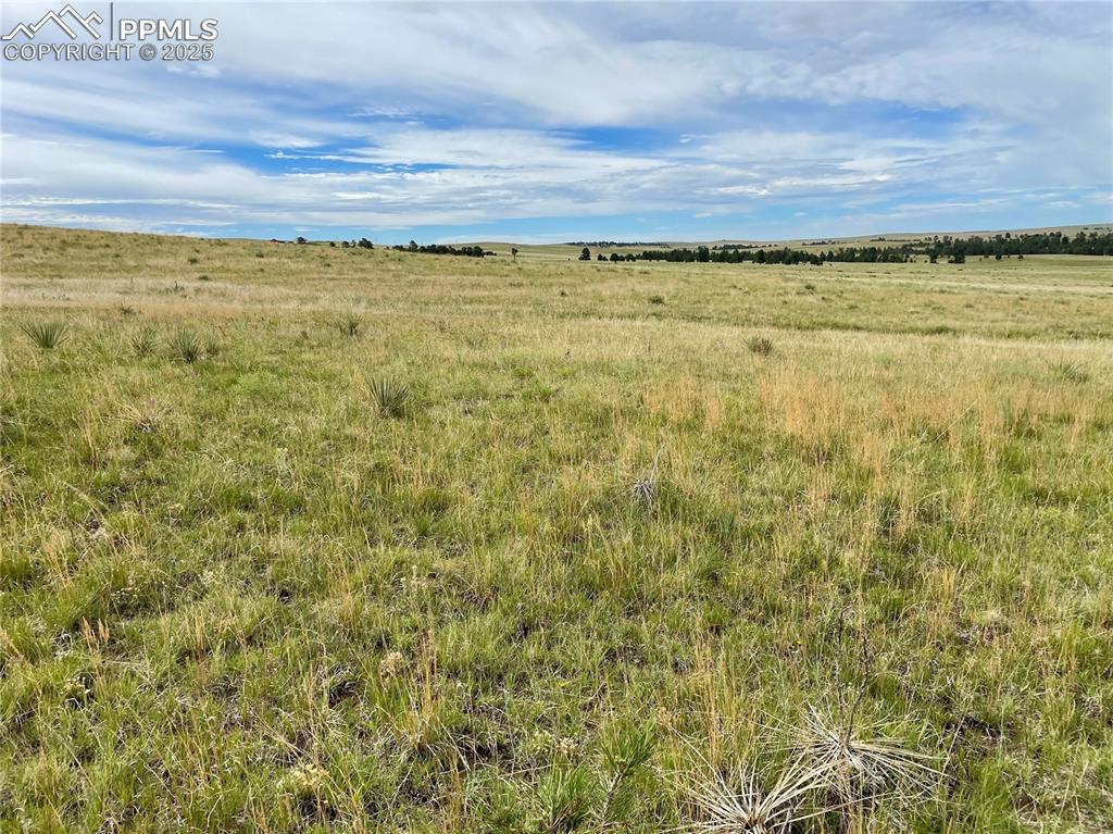31963 Cattle Circle Ramah CO 80832