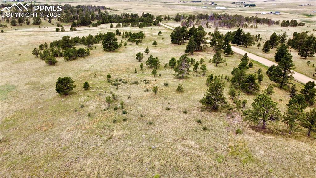 31963 Cattle Circle Ramah CO 80832