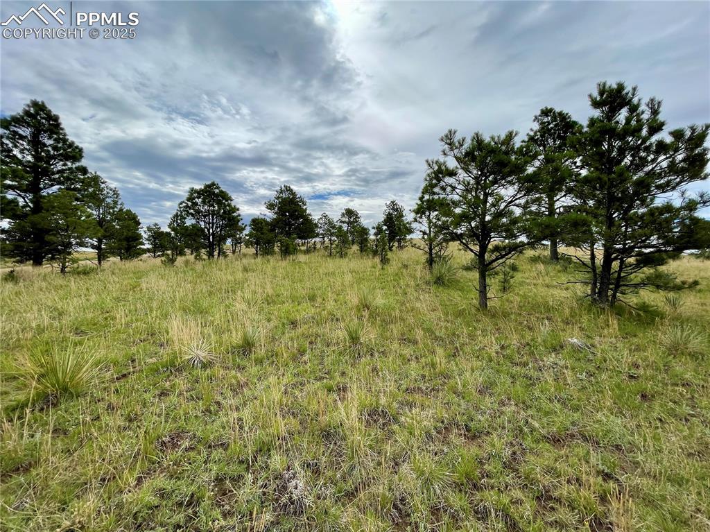 31963 Cattle Circle Ramah CO 80832