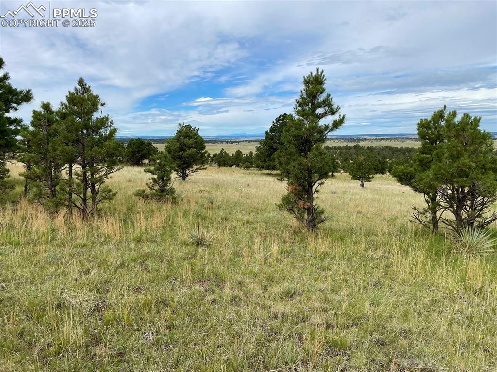 31963 Cattle Circle Ramah CO 80832