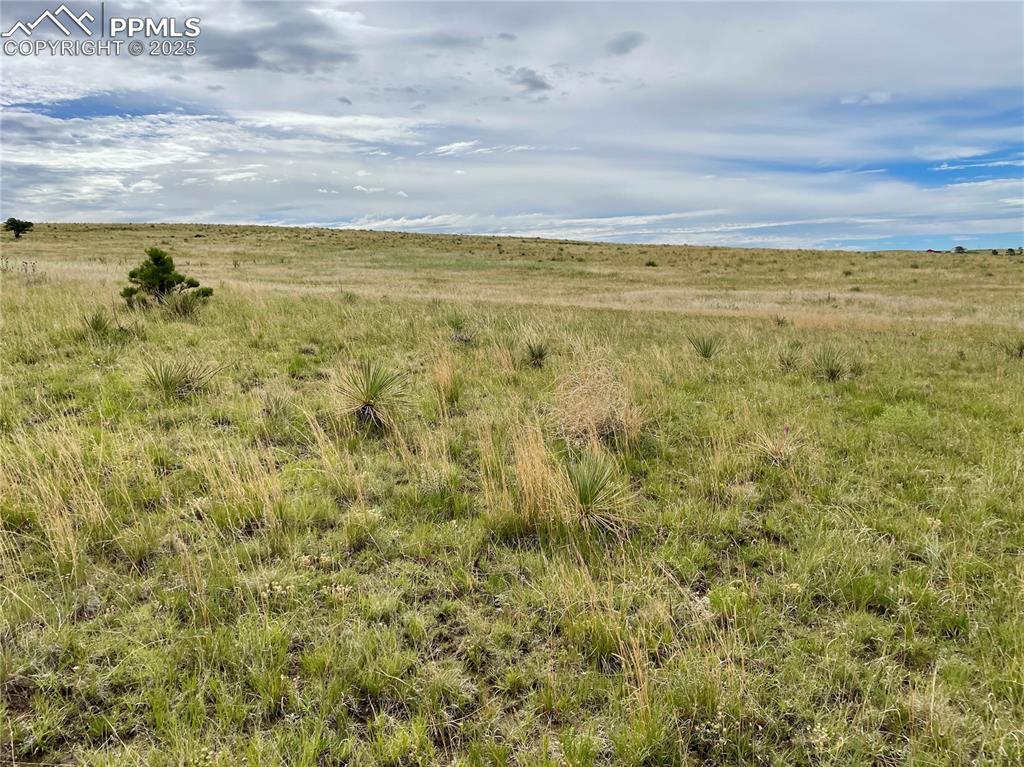 31963 Cattle Circle Ramah CO 80832