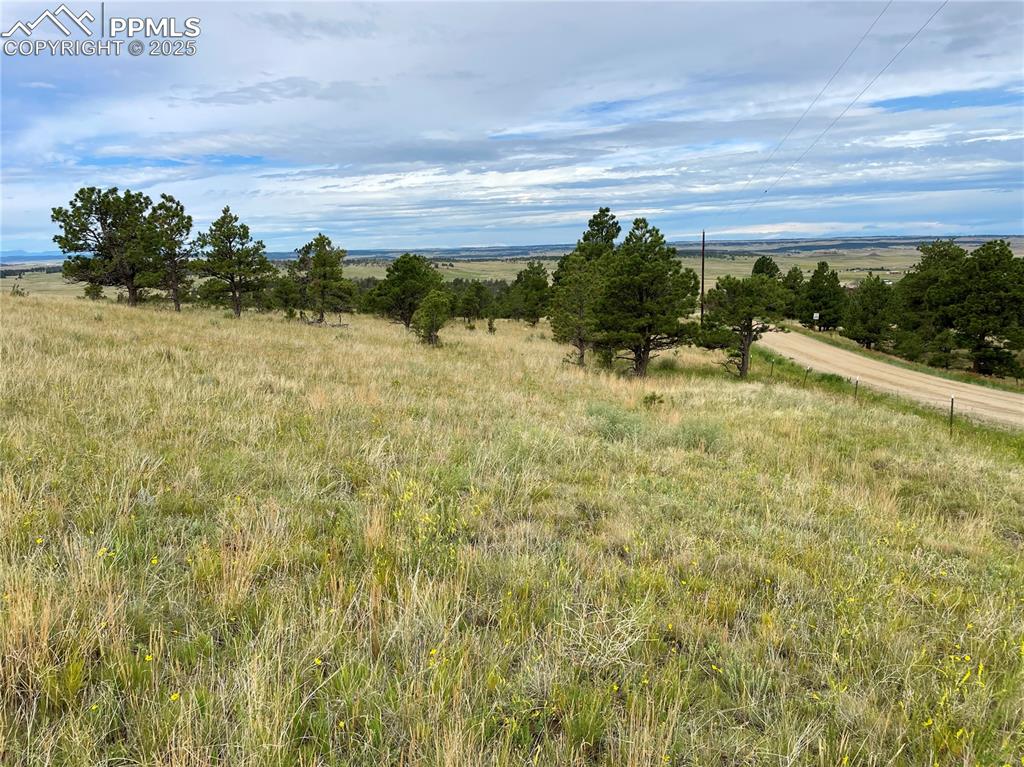 31963 Cattle Circle Ramah CO 80832