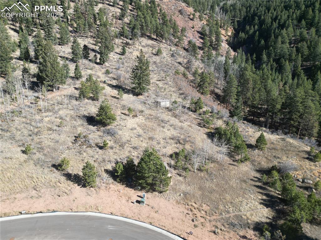 1375 Blue Haven Place Woodland Park CO 80863