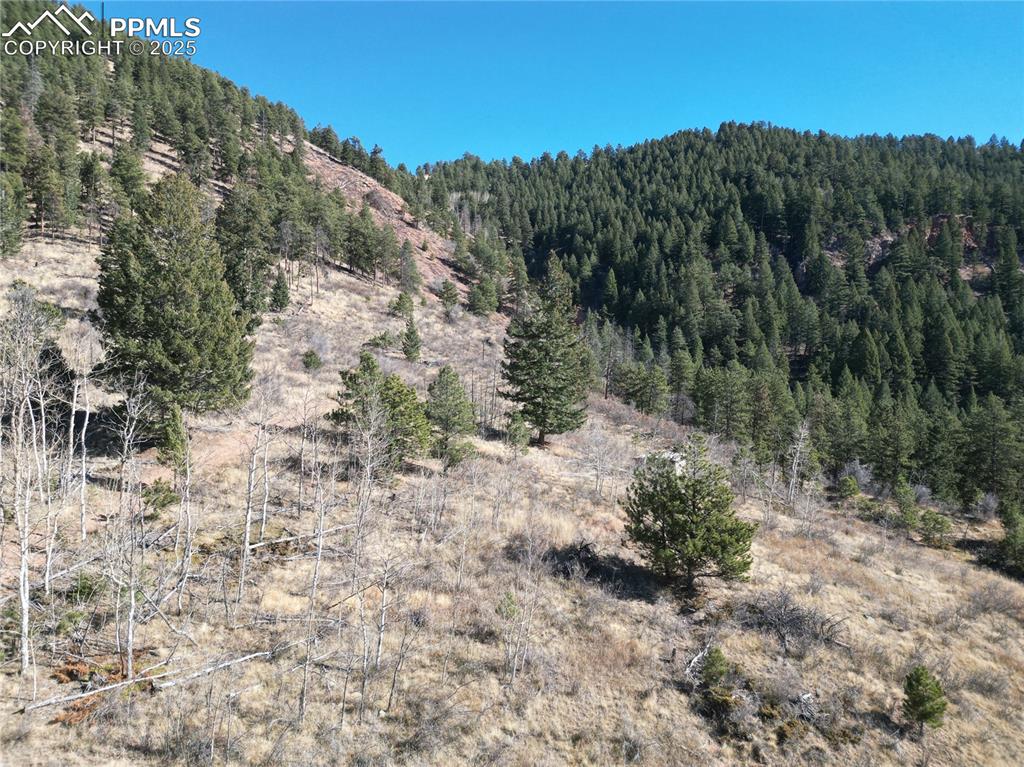 1375 Blue Haven Place Woodland Park CO 80863