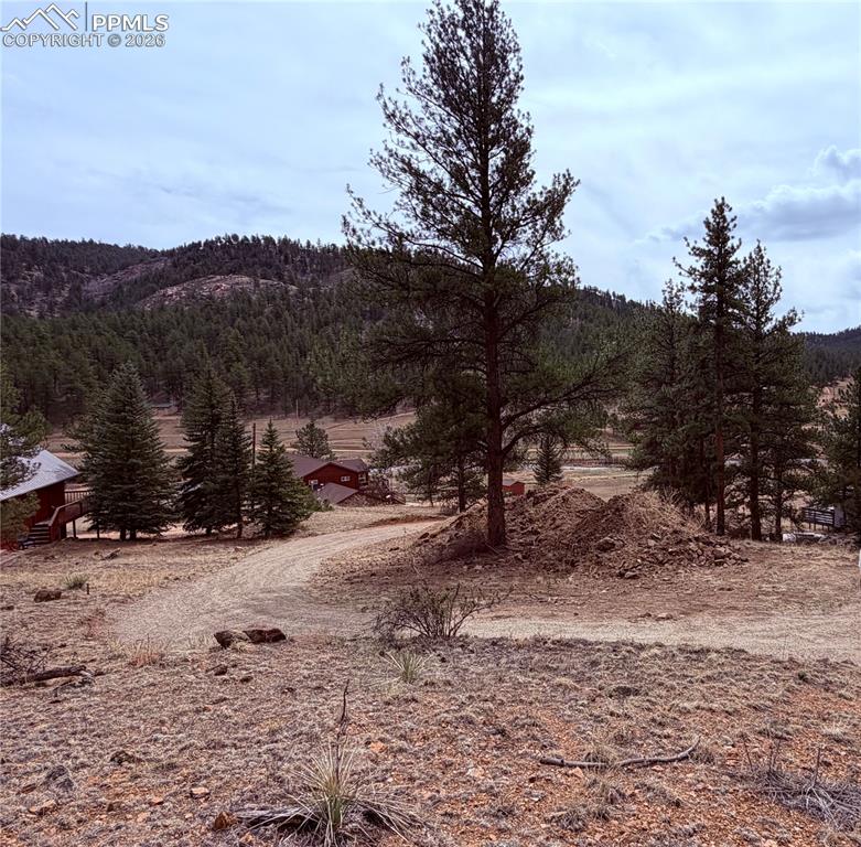 159 W Platte Road Lake George CO 80827