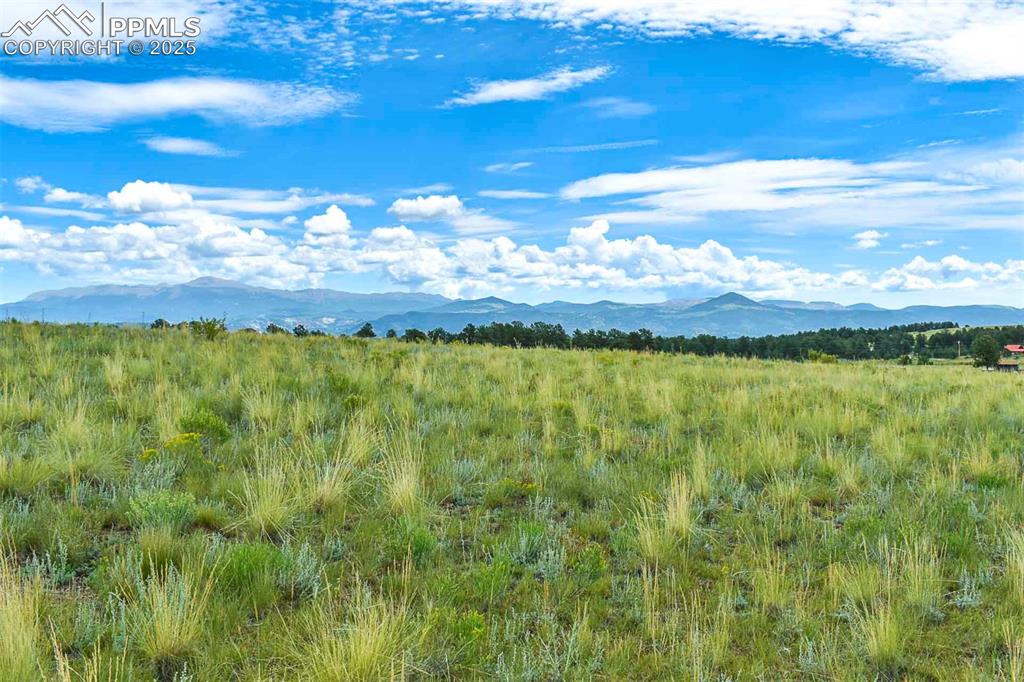 4782 County Road 71 Guffey CO 80820