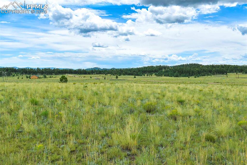 4782 County Road 71 Guffey CO 80820