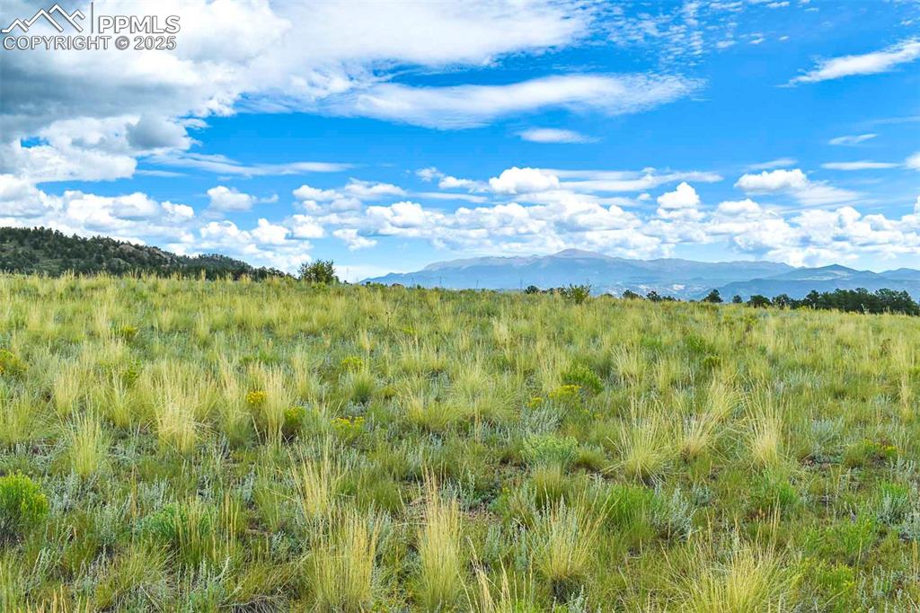 4782 County Road 71 Guffey CO 80820