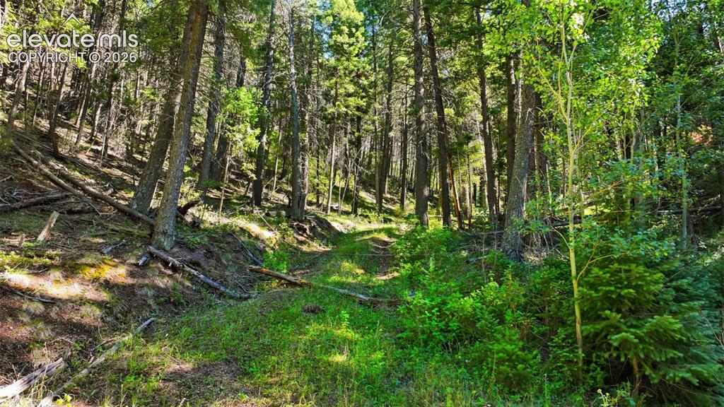 13446 S Firedog Way Larkspur CO 80118