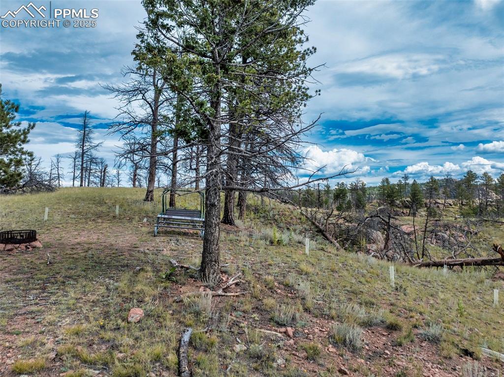 224 Chapparal Trail Florissant CO 80816