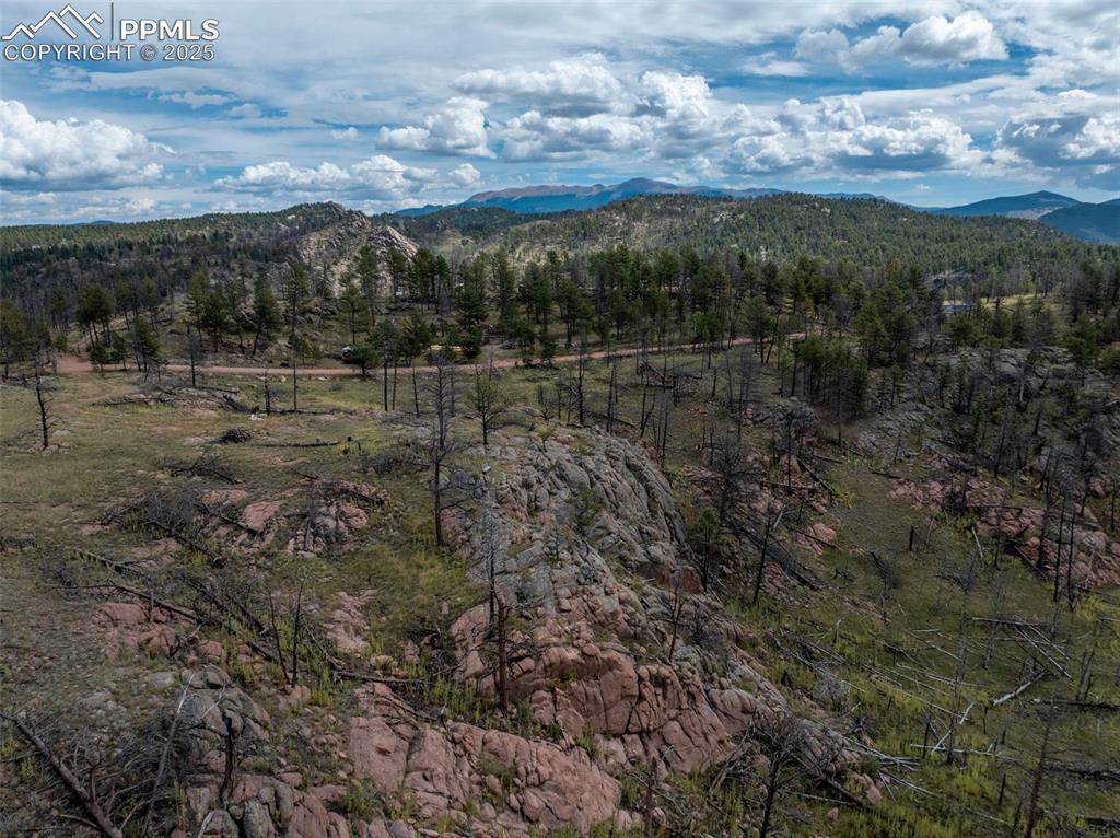 224 Chapparal Trail Florissant CO 80816
