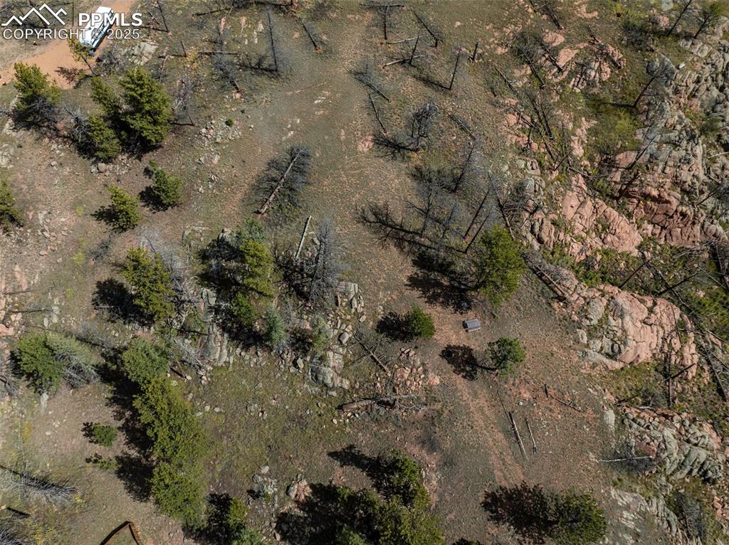 224 Chapparal Trail Florissant CO 80816