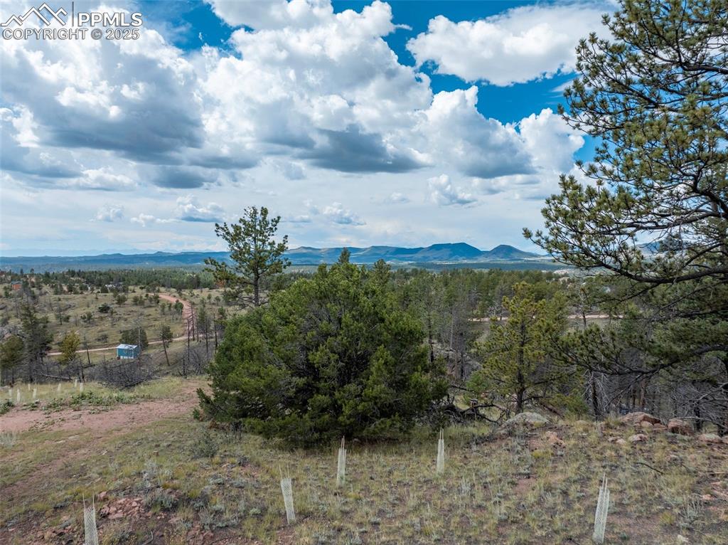 224 Chapparal Trail Florissant CO 80816