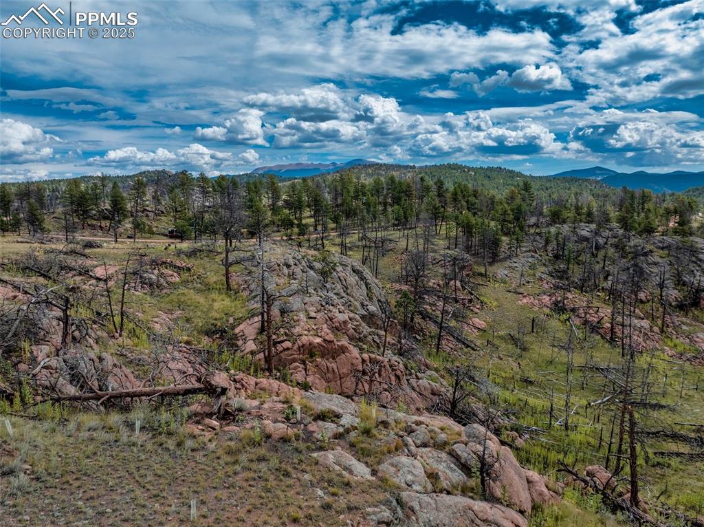 224 Chapparal Trail Florissant CO 80816