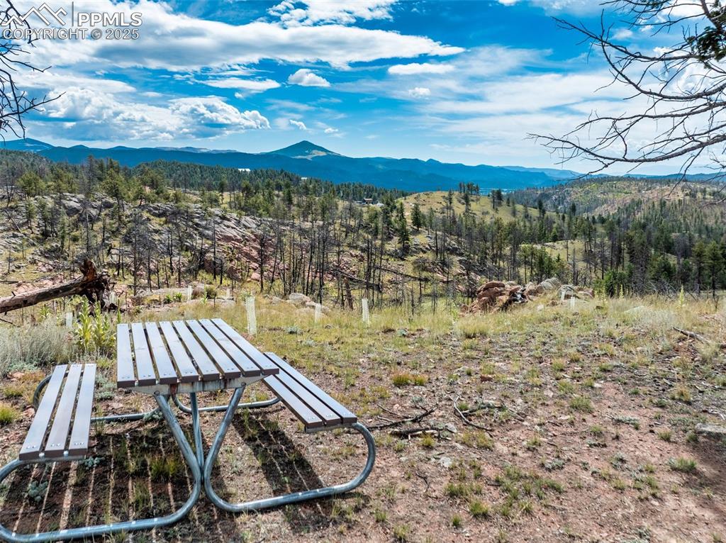 224 Chapparal Trail Florissant CO 80816