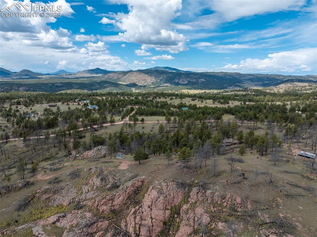 224 Chapparal Trail Florissant CO 80816