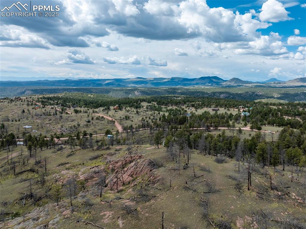 224 Chapparal Trail Florissant CO 80816