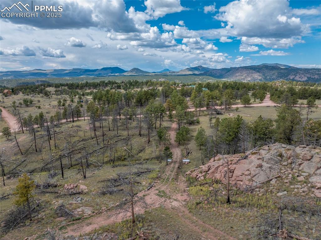 224 Chapparal Trail Florissant CO 80816