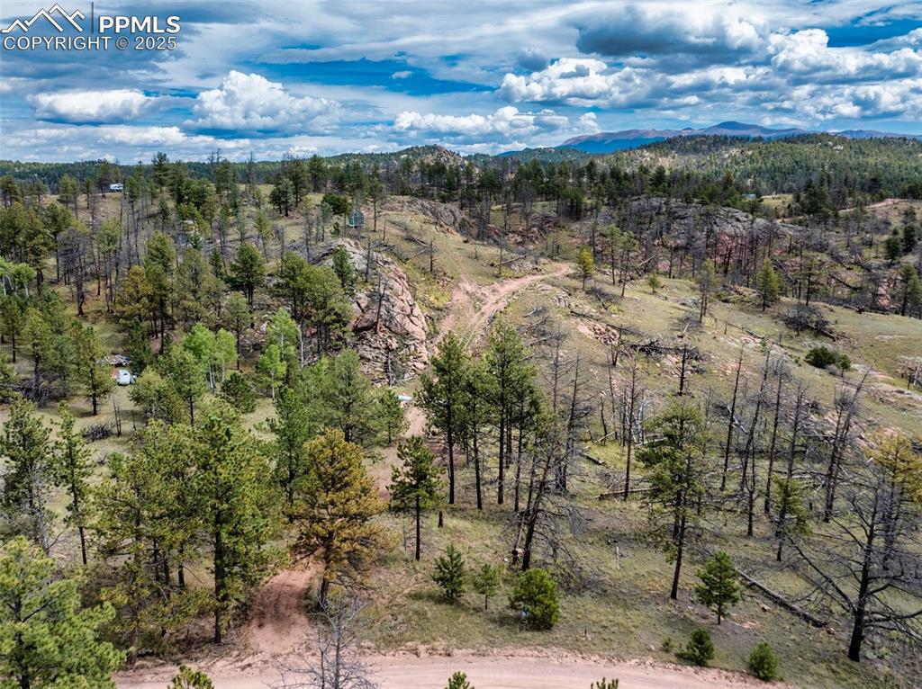 224 Chapparal Trail Florissant CO 80816